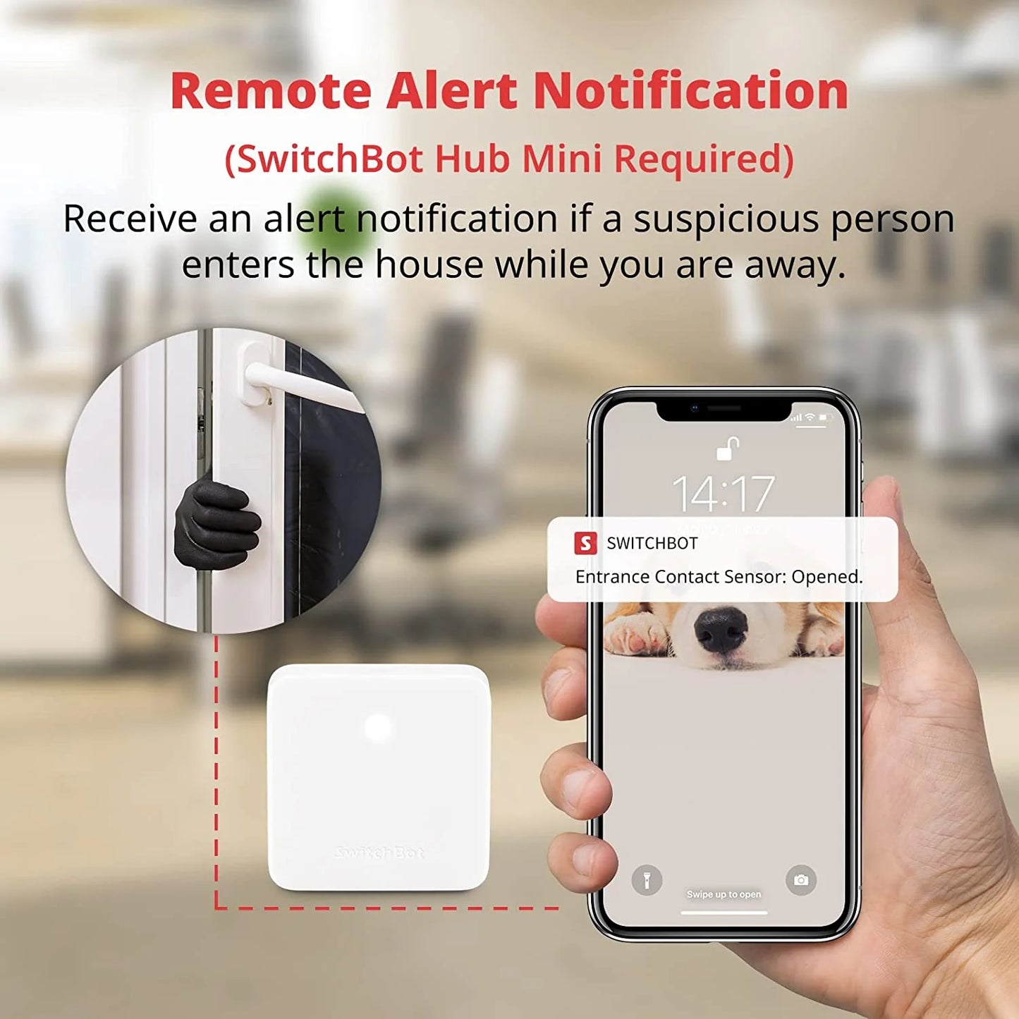 SwitchBot Contact Sensor combines reliable security monitoring with smart home automation capabilities